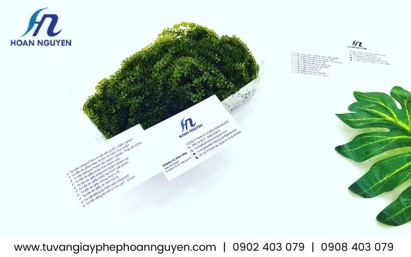 Dịch vụ kiểm nghiệm sản phẩm trong nước và nhập khẩu uy tín nhanh chóng