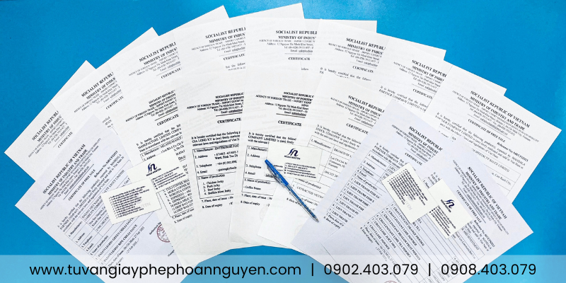 Dịch vụ chuyên nghiệp làm CFS thực phẩm xuất khẩu tại Đồng Nai (Ảnh: HOÀN NGUYÊN)